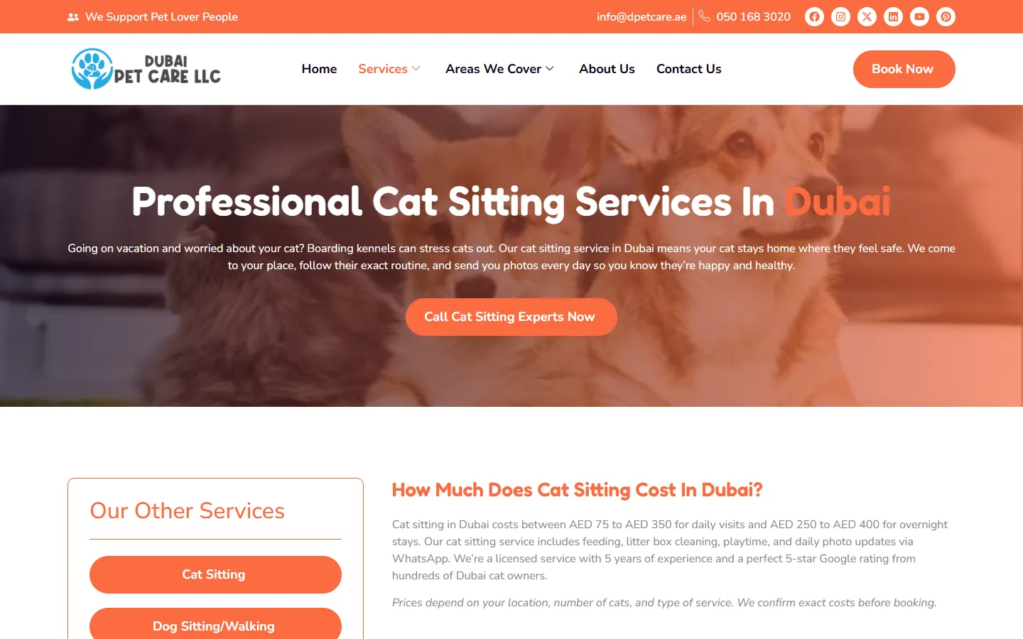 D Pet Care LLC cat sitting service page in Dubai